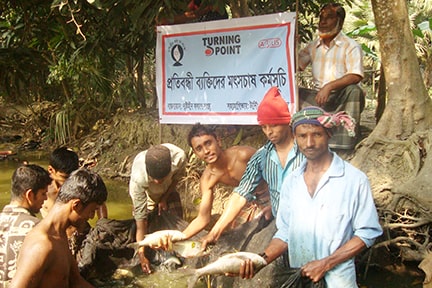 A picture of fish farming by DKS, Comilla